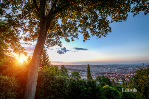 Ausblick vom Santiago de Chile Platz in Stuttgart an der alten Weinsteige Richtung Innenstadt Stuttgart. Im Vordergrund ein Baum und links im Bild die tiefstehende Sonne, die die Dächer der Häuser erhellt